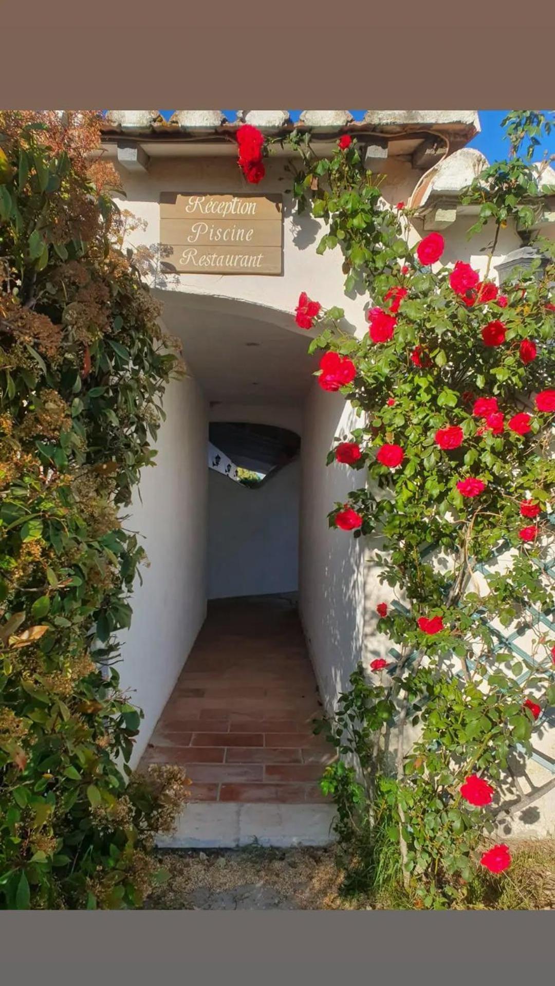 Hotel Mas De Calabrun Saintes-Maries-de-la-Mer Exterior foto